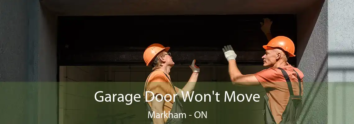 Garage Door Won't Move Markham - ON